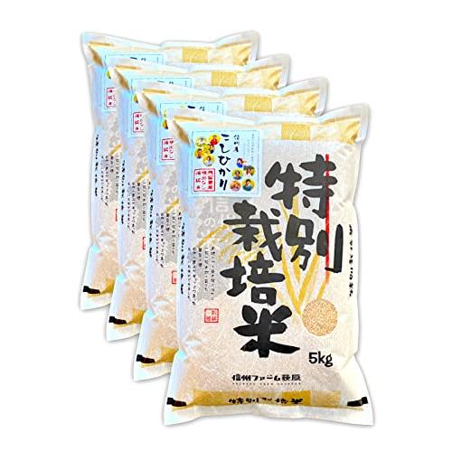 新米残留農薬不検出 信州産 こしひかり 20kg（5kg×4） 令和5年産 米 お米 コメ 長野県 信州ファーム荻原