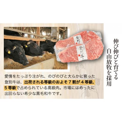 ふるさと納税 北海道 登別市 登別牛サーロインステーキ肉とのぼりべつ乳清豚（ホエー）ステーキ肉セット