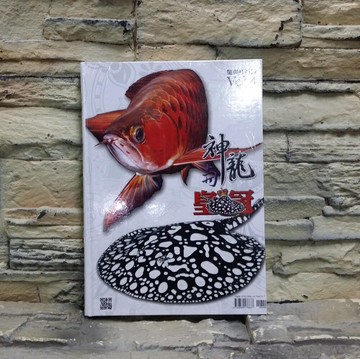 【西高地水族坊】魚雜誌 書籍 龍與魟系列 神龍與皇冠-4