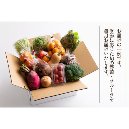 ふるさと納税 シェフの目線「大洲もぎたてフルーツ＆旬野菜詰合せ」年間パスポート 愛媛県大洲市