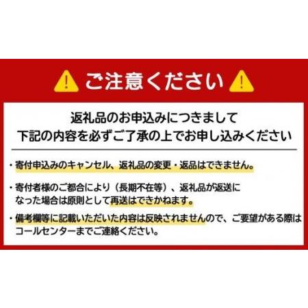 ふるさと納税 2024年夏発送 キリンラガービール 500ｍl 12缶＆白いとうもろこしピュアホワイト14本 北海道千歳市