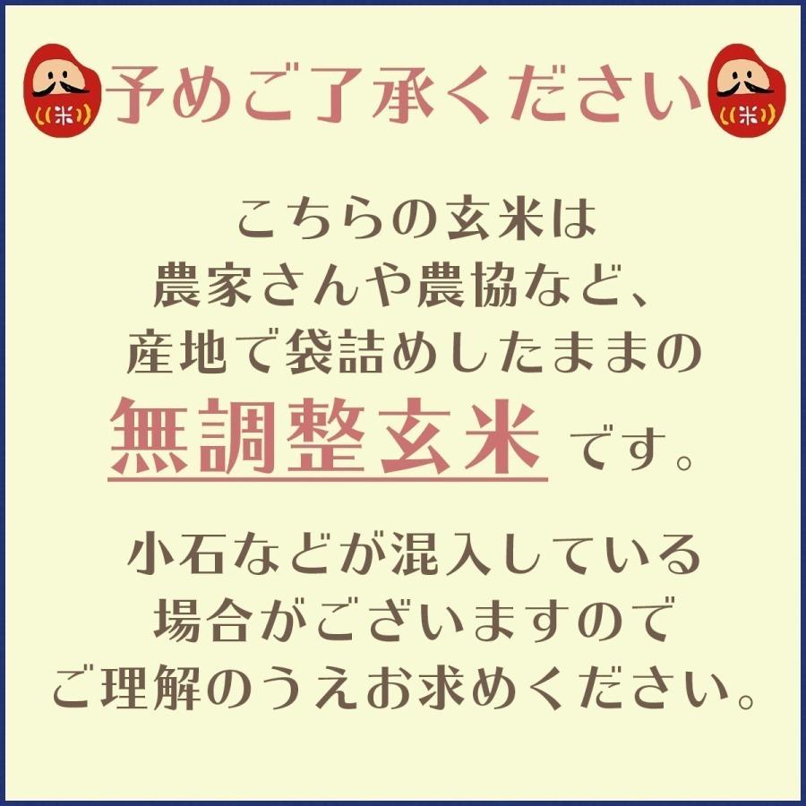 玄米　令和5年産　新潟県産こしいぶき　2等　30kg