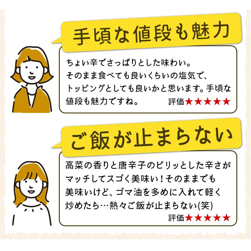 賞味期限2023年12月26日 辛子高菜 600g入(150g×4袋) 1000円 ポッキリ 送料無料 高菜漬け 小分け ご飯 お供 漬け物 1-5営業以内発送予定(土日祝除)