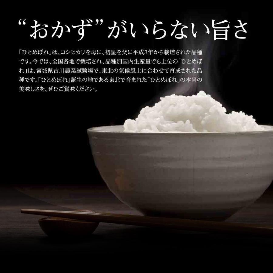 新米 米 10kg ひとめぼれ 岩手県産 米10kg お米 白米 令和5年産 送料無料 5kg×2袋セット