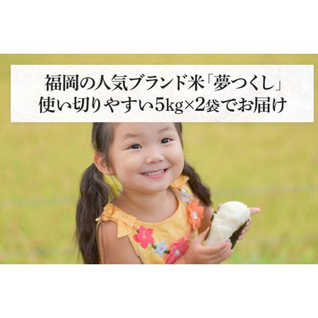 ふるさと納税 新米 令和5年産　福岡県産ブランド米「夢つくし」無洗米　計10kg 福岡県田川市