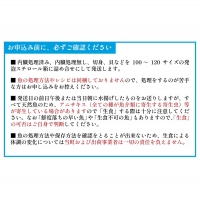 漁協厳選！鮮魚お楽しみBOX※不在日・日付指定対応不可※[02-830]