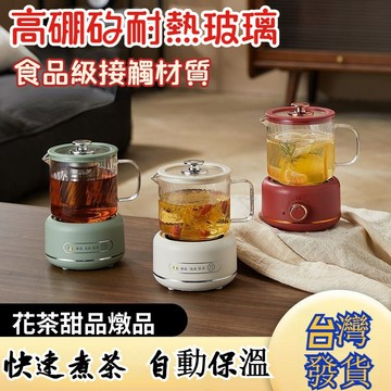 【台灣出貨】迷你玻璃養生杯 小型煮茶壺 電熱花茶杯 快速加熱保溫 辦公室燉品杯 多功能便攜煮水杯 電熱燒水杯 保溫養生