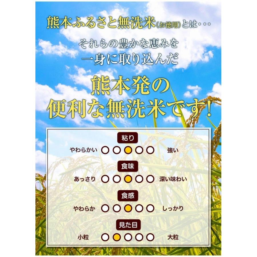 米 10kg 送料無料 無洗米 5kg ×2袋 お米 国産 白米 令和4年産 ブランド米 6割使用 ふるさと無洗米 熊本 7-14営業以内発送予定(土日祝除)