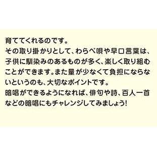 シルバーバック 七田式 知力ドリル 3・4さい あんしょう