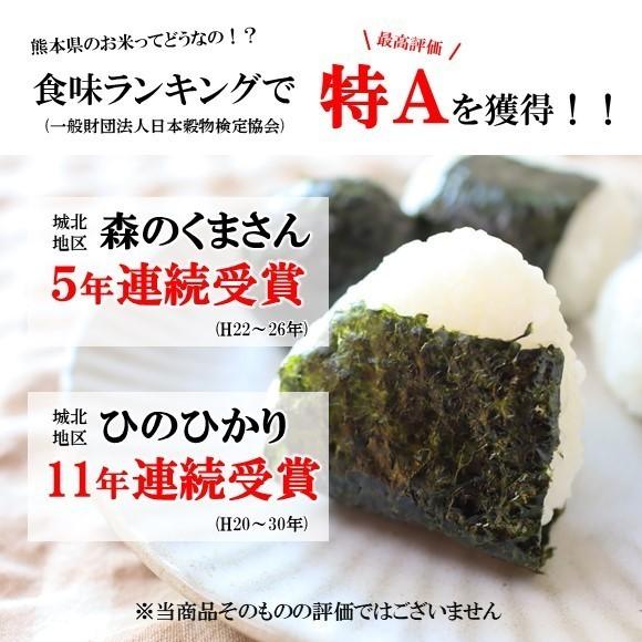 無洗米 森のくまさん 九州どまんなか熊本のお米 20kg(5kg×4袋） 熊本県産 人気 おうち時間 特A おすすめ おいしい 送料無料