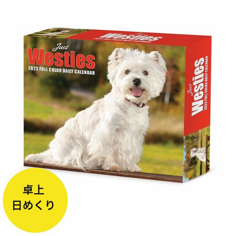 ウエストハイランドホワイトテリア 卓上 日めくり カレンダー Box 犬 ドッグ Dog 23年 令和5年 暦 動物 ウエスティー 犬種カレンダー ペットカレンダー 通販 Lineポイント最大0 5 Get Lineショッピング