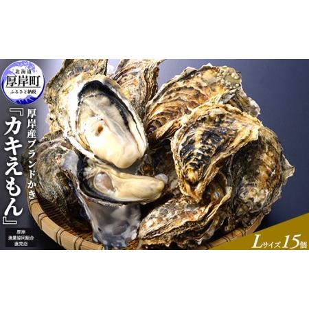 ふるさと納税  厚岸産ブランドかき カキえもん Lサイズ 15個セット 北海道 牡蠣 カキ かき 生食 生食用 生牡蠣 北海道厚岸町