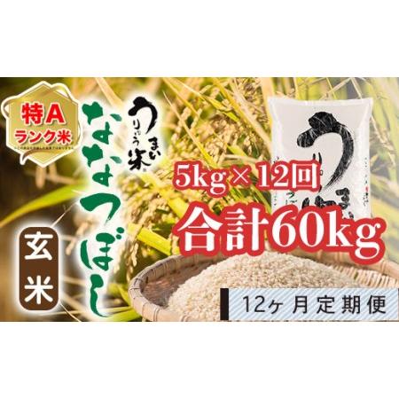 ふるさと納税 うりゅう米「ななつぼし（玄米）」5kg 定期便！毎月1回・計12回お届け 北海道雨竜町