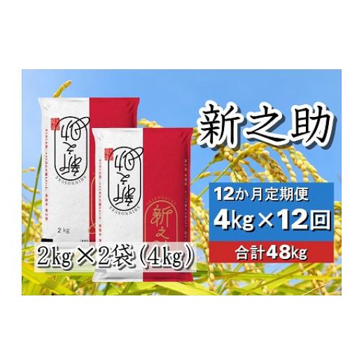 ふるさと納税 新潟県 阿賀野市 12ヶ月定期便 新之助 4kg×12回 計48kg 白米 精米 井上米穀店 1I08096