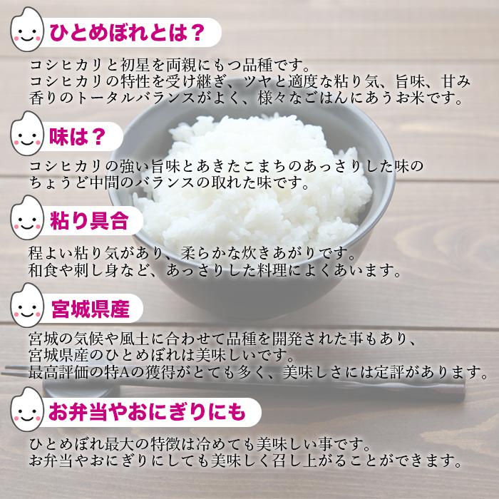 ひとめぼれ 10kg 5kg×2 令和5年産 宮城県産 米 お米 白米 おこめ 精米 単一原料米 ブランド米 10キロ   国内産 国産