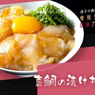 緊急支援 海鮮「真鯛の漬け丼の素」1食80g×10P《迷子の真鯛を食べて応援 養殖生産業者応援プロジェクト》 順次出荷中 惣菜 そうざい冷凍 保存食 小分け パック 高知 海鮮丼 惣菜 一人暮らし〈高