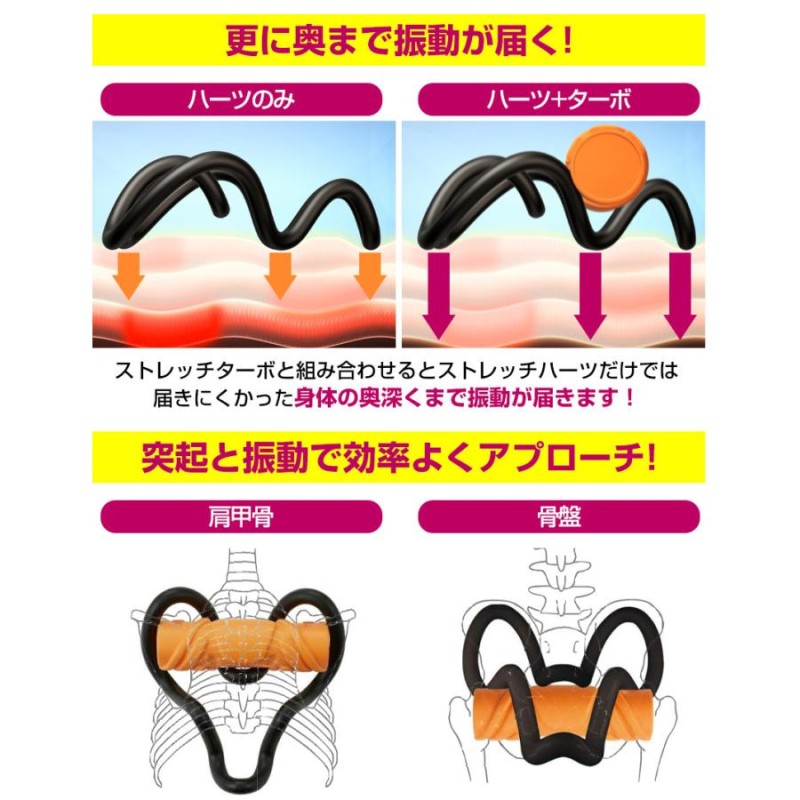 ストレッチハーツ＆ストレッチターボ セット 保阪直樹 プロデュース