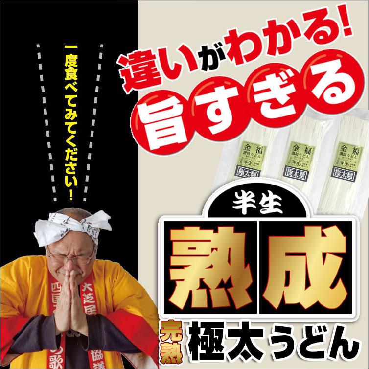 20時間熟成  半生 極太 讃岐うどん つゆ付きセット 便利な個包装 750g 送料無料 最安値挑戦 得トクセール 特産品