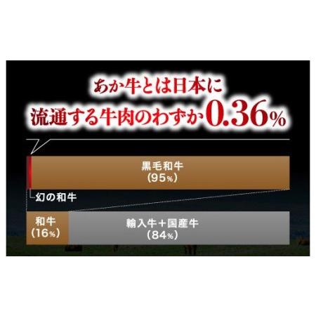 ふるさと納税 熊本県産 あか牛 モモステーキ 合計500g(250g×2パック) 和牛 牛肉 熊本県人吉市