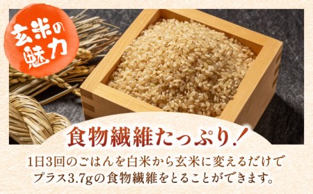 特A獲得！さがびより玄米5kg×4袋（20kg） 吉野ヶ里町 大塚米穀店 ご飯 ごはん お米 お弁当 おにぎり 国産  佐賀 ブランド   [FCW008]