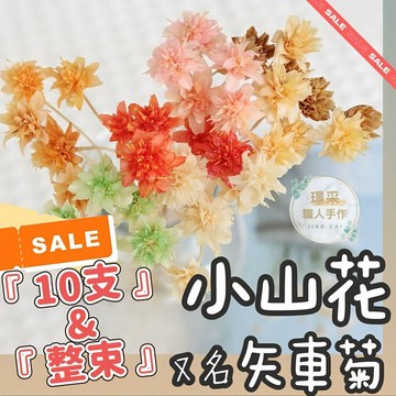 【璟采職人】10支裝/整束 小山花 矢車菊 馬蘭菊 乾燥花 小雛菊 永生花 花藝 DIY手作 插花 花束 鄉村風 盆花