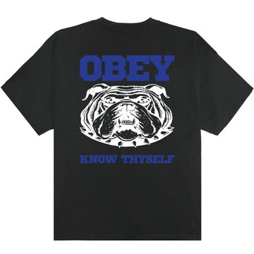 OBEY 168024380-VBK KNOW THYSELF HEAVYWEIGHT TEE 短T (水洗黑色)
