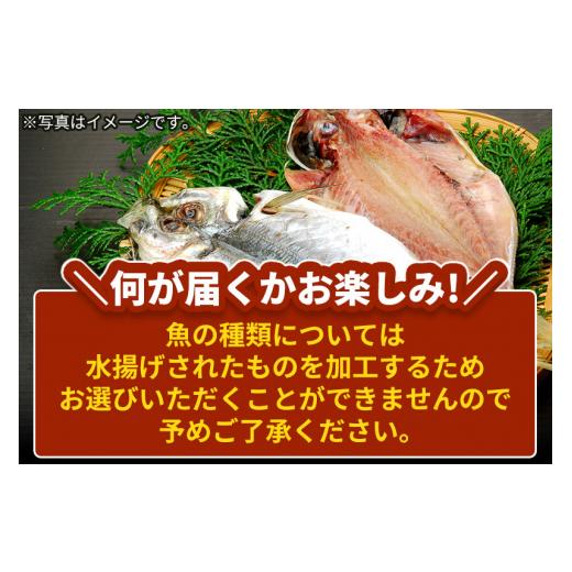 ふるさと納税 秋田県 由利本荘市 干物の玉手箱 5〜6枚