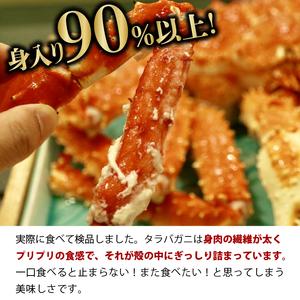 ふるさと納税 130030 特大 ボイルたらば蟹脚 5Lサイズ(冷凍総重量1.0kg×1肩)  北海道石狩市