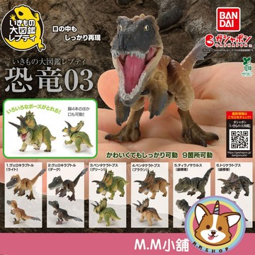 【M.M小舖】『現貨』BANDAI 轉蛋 扭蛋 生物大圖鑑 恐龍P3 3 恐龍 可動 圖鑑 公仔 小全5款