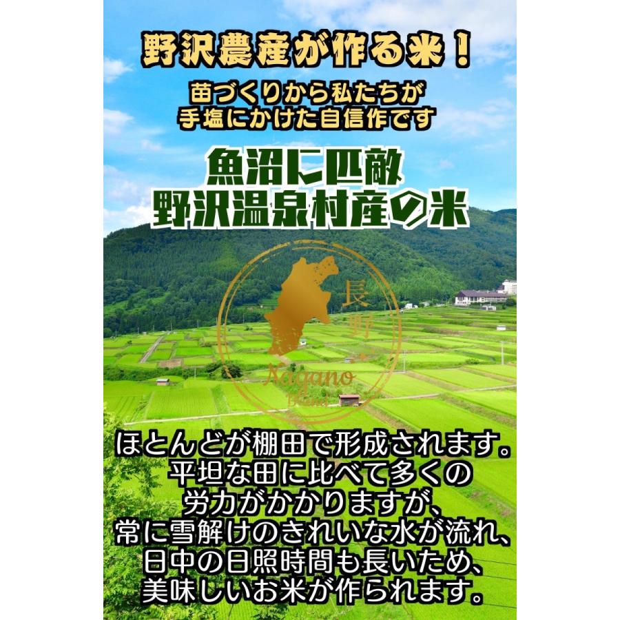 新米 令和5年産 無洗米 10kg 送料無料 米 お米 コシヒカリ こしひかり JAS有機 野沢農産 長野県産 野沢温泉村産 精米 5kg ×2袋 体によし