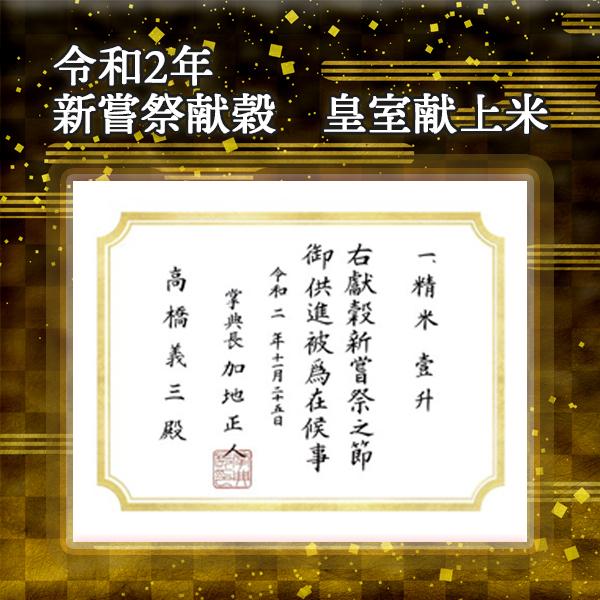 新米 令和5年産 無洗米 5kg 新鮮密封パック 送料無料 米 お米 コシヒカリ こしひかり 特別栽培米 野沢農産 長野県産 北信産 精米 5キロ ブナの水 長期保存