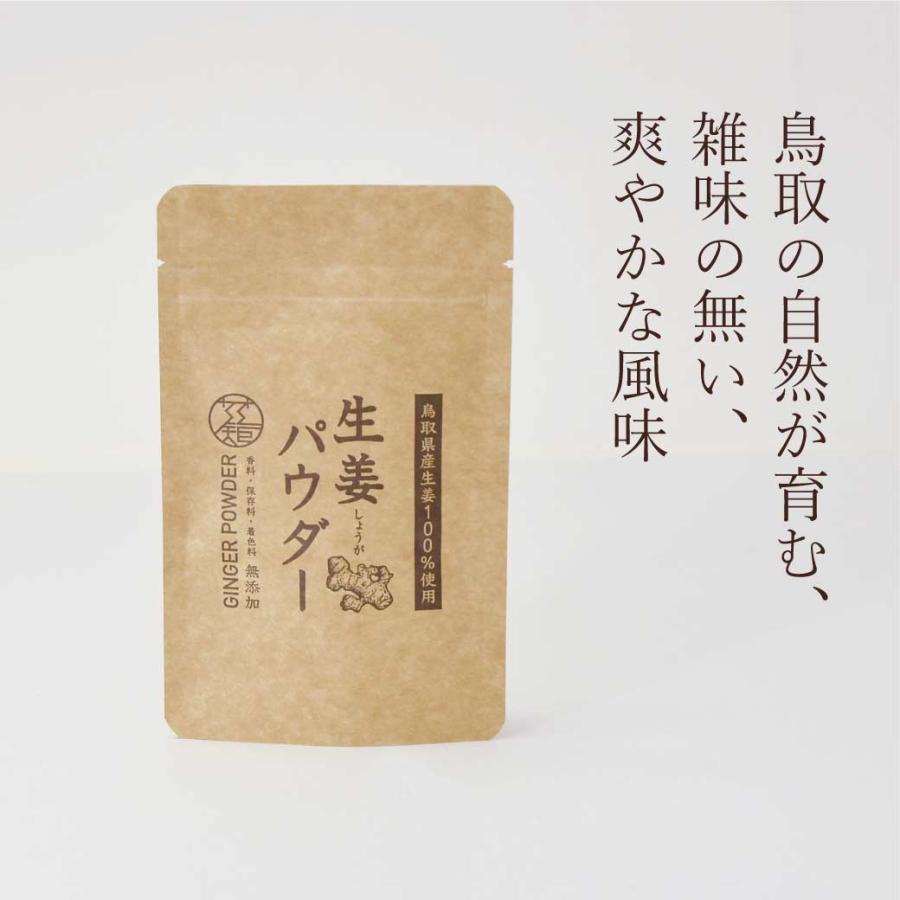 生姜 生姜パウダー 5袋セット ジンジャーパウダー 1袋(20ｇ) 鳥取県産 国産 無添加 温活 ギフト