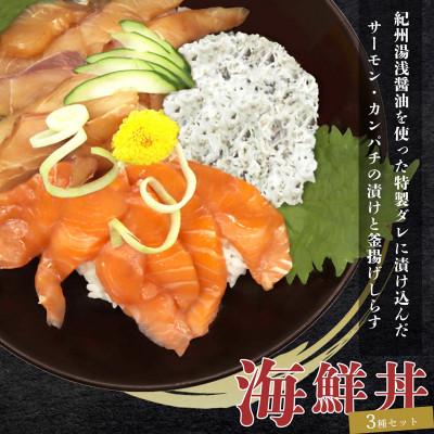 ふるさと納税 日高町 サーモンとカンパチの漬け釜揚げしらすの 海鮮丼 3種セット 計300g