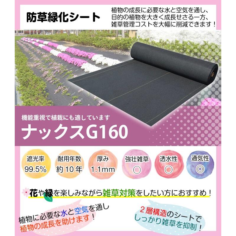 防草緑化シート「ナックスG160(2ｍ×25ｍ)　Uピン(200本)セット」　厚さ1.1ｍｍ 耐用年数約10年（送料無料） 白崎コーポレーション