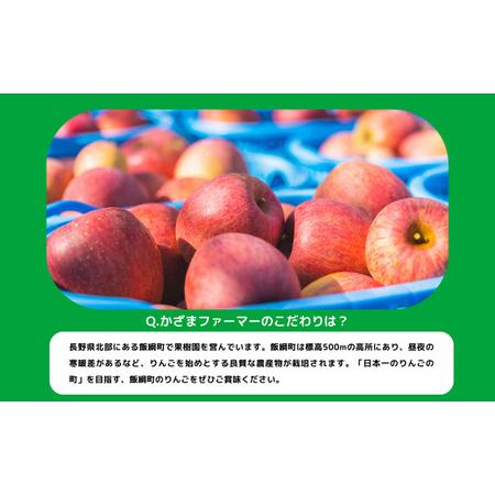 ふるさと納税 りんご 葉とらず サンふじ 訳あり 10kg かざまファーマー 沖縄県への配送不可 2023年11月中旬頃から2024年3月中旬頃まで順次発送予.. 長野県飯綱町