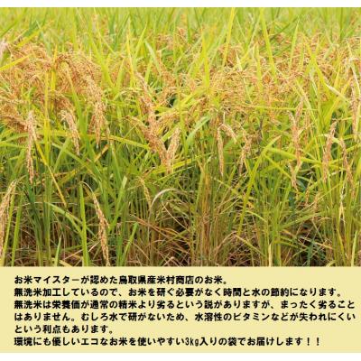 ふるさと納税 鳥取市 鳥取県産無洗米コシヒカリ