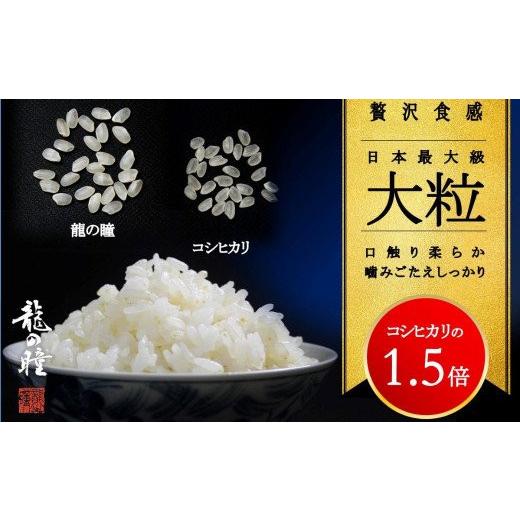 ふるさと納税 岐阜県 下呂市 新米2kg×2（計 4kg） 飛騨産・龍の瞳 (いのちの壱) 株式会社龍の瞳直送 米 令和5年産 精米 2キロ×2袋 計 4キロ