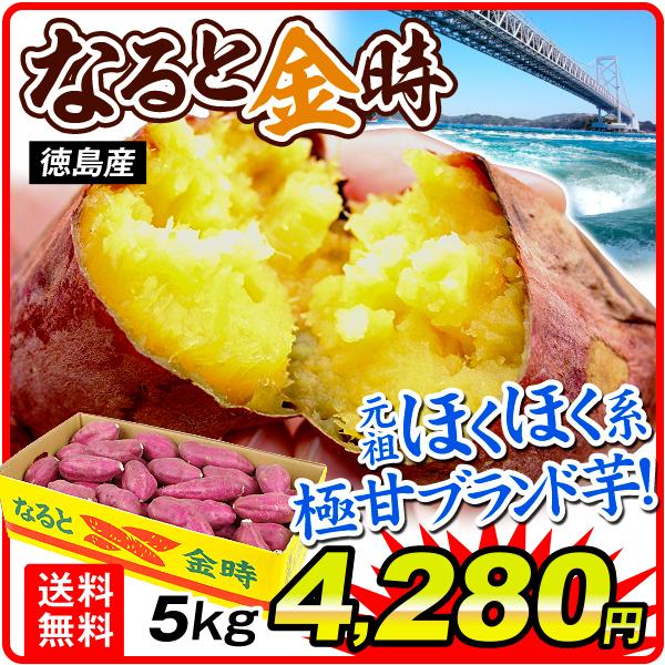 さつまいも 5kg 徳島産 お買得 なると金時 1箱 送料無料 鳴門 なるときんとき 芋 野菜 食品 国華園