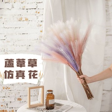 🪻蘆葦潘帕絲草🪻  仿真蘆葦草 居家裝飾擺設 拍照道具 花藝插花 仿真花 人造花 辦公室裝飾 田園風 仿真植物 場地布置