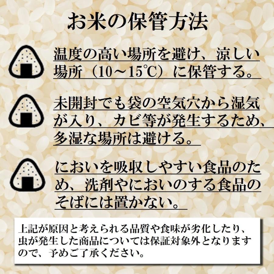 新米 無洗米 お米 ななつぼし 北海道産 20kg 令和5年産