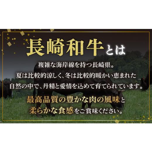 ふるさと納税 長崎県 東彼杵町 長崎和牛 サーロイン ステーキ 600g (200g×3枚) 肉 お肉 ステーキ肉 牛肉 和牛 希少部位 東彼杵町／黒牛 [BBU077]