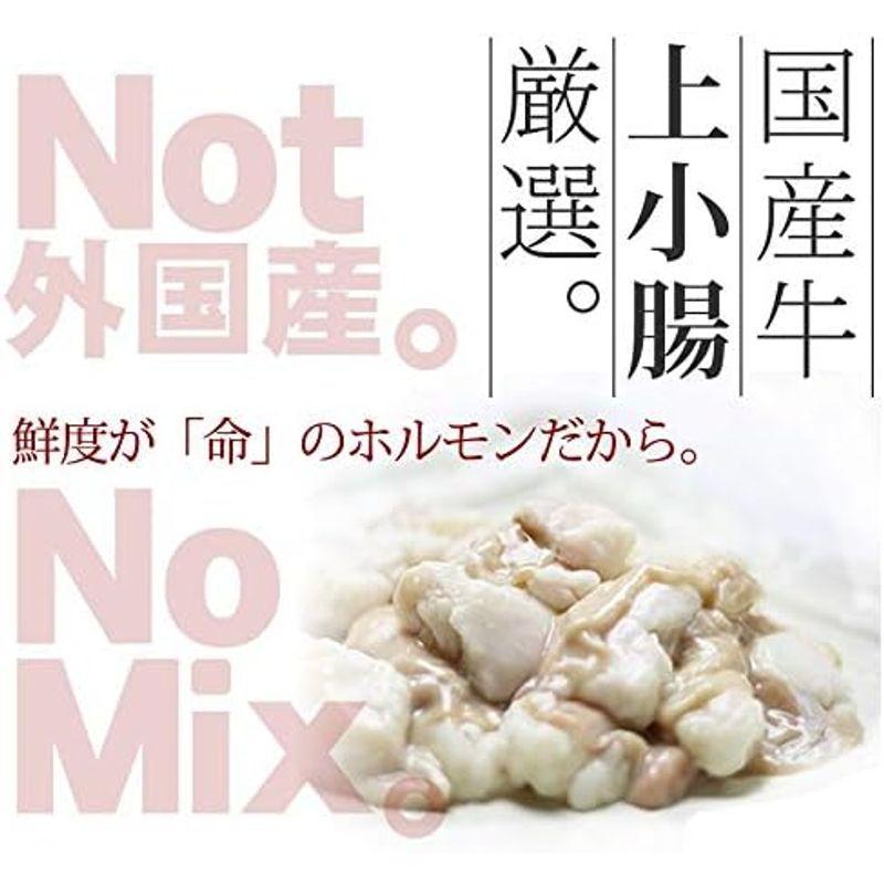 もつ鍋セット 博多発 醤油味 3?4人前 国産牛もつ450g ちゃんぽん麺・薬味付 ギフト可