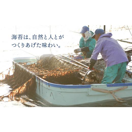 ふるさと納税 佐賀県 吉野ヶ里町 ＜味のり12回定期便＞佐賀海苔ボトル（8切56枚）2本セット 株式会社サン海苔 吉野ヶ里町 [FBC032]