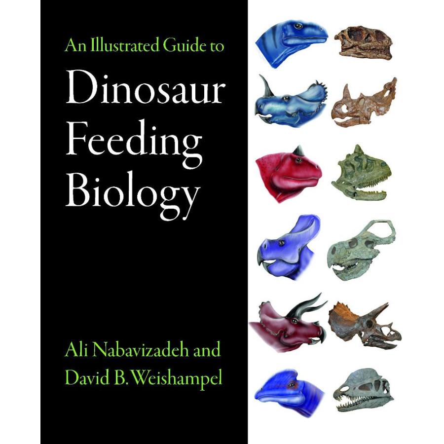 An Illustrated Guide to Dinosaur Feeding Biology: Dinosaur Feeding Biology