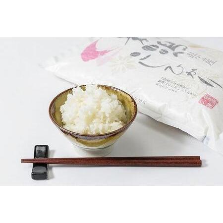 ふるさと納税 令和5年産 お米マイスターが育てた上越産コシヒカリ2kg(2kg×1) 白米　精米 新潟県上越市