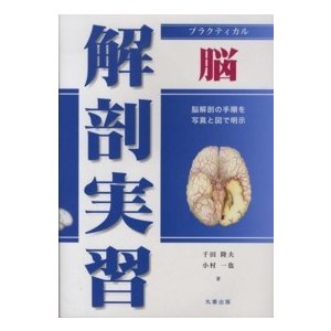 プラクティカル 解剖実習 脳