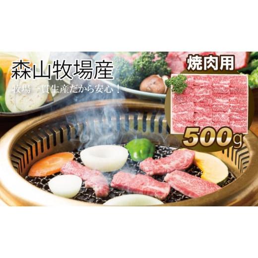 ふるさと納税 佐賀県 小城市 鮮度が違う！森山牧場 焼肉セット（500g）  黒毛和牛