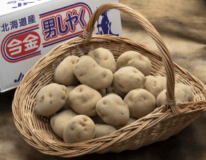 『今金男爵』北海道産じゃがいも L～2L 約5kg 簡易箱 ※常温　送料無料