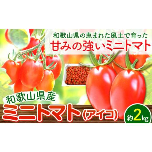 ふるさと納税 和歌山県 日高町 トマト ミニトマト ミニトマト アイコ 約 2kg 株式会社 はし長《12月中旬-7月上旬頃より発送予定(土日祝除く)》和歌山県 日…