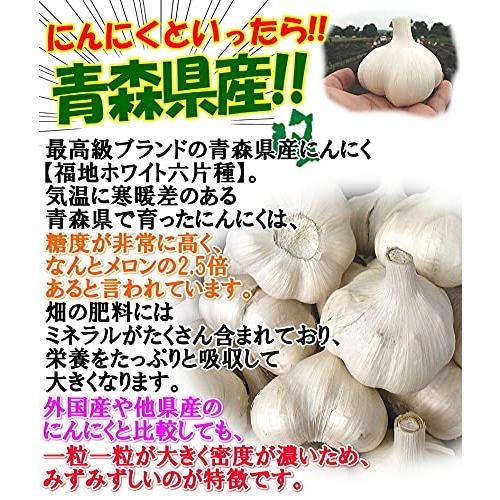 青森 にんにく 1kg B品 Mサイズ 国産 ニンニク 青森期待の新人商店